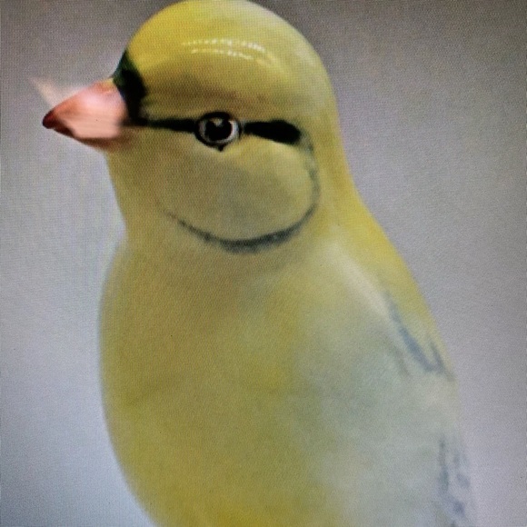 Royal Adderley Canary English Marked on underside - Picture 2 of 7